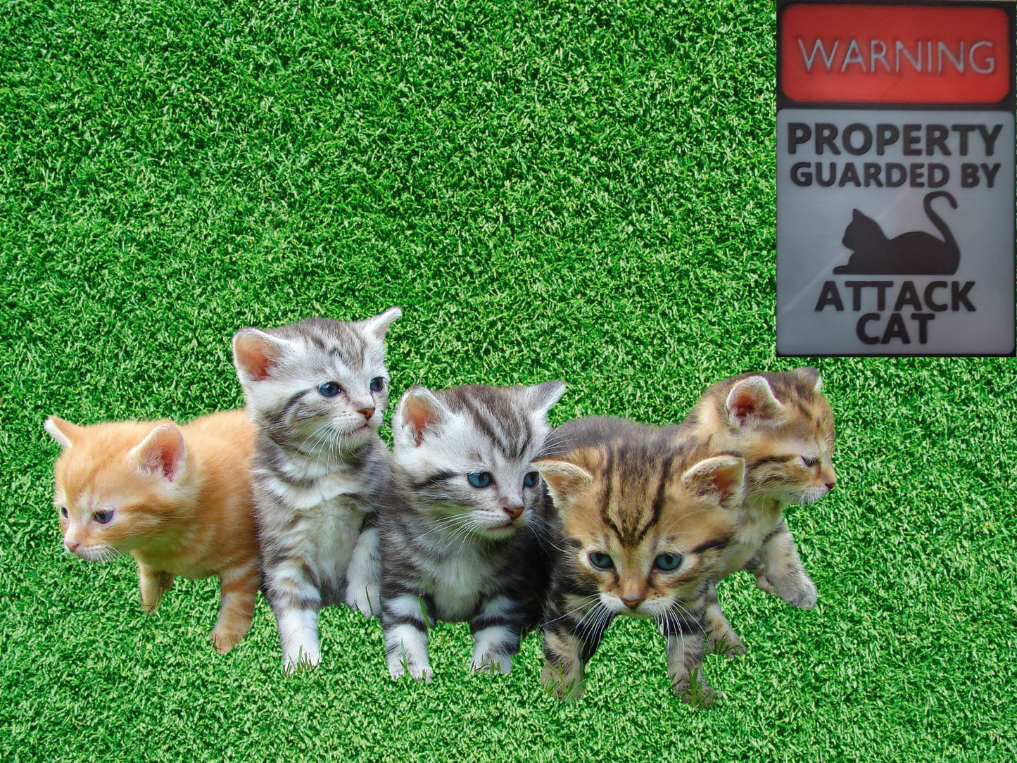3d Printed Warning sign- Attack Cat-Funny