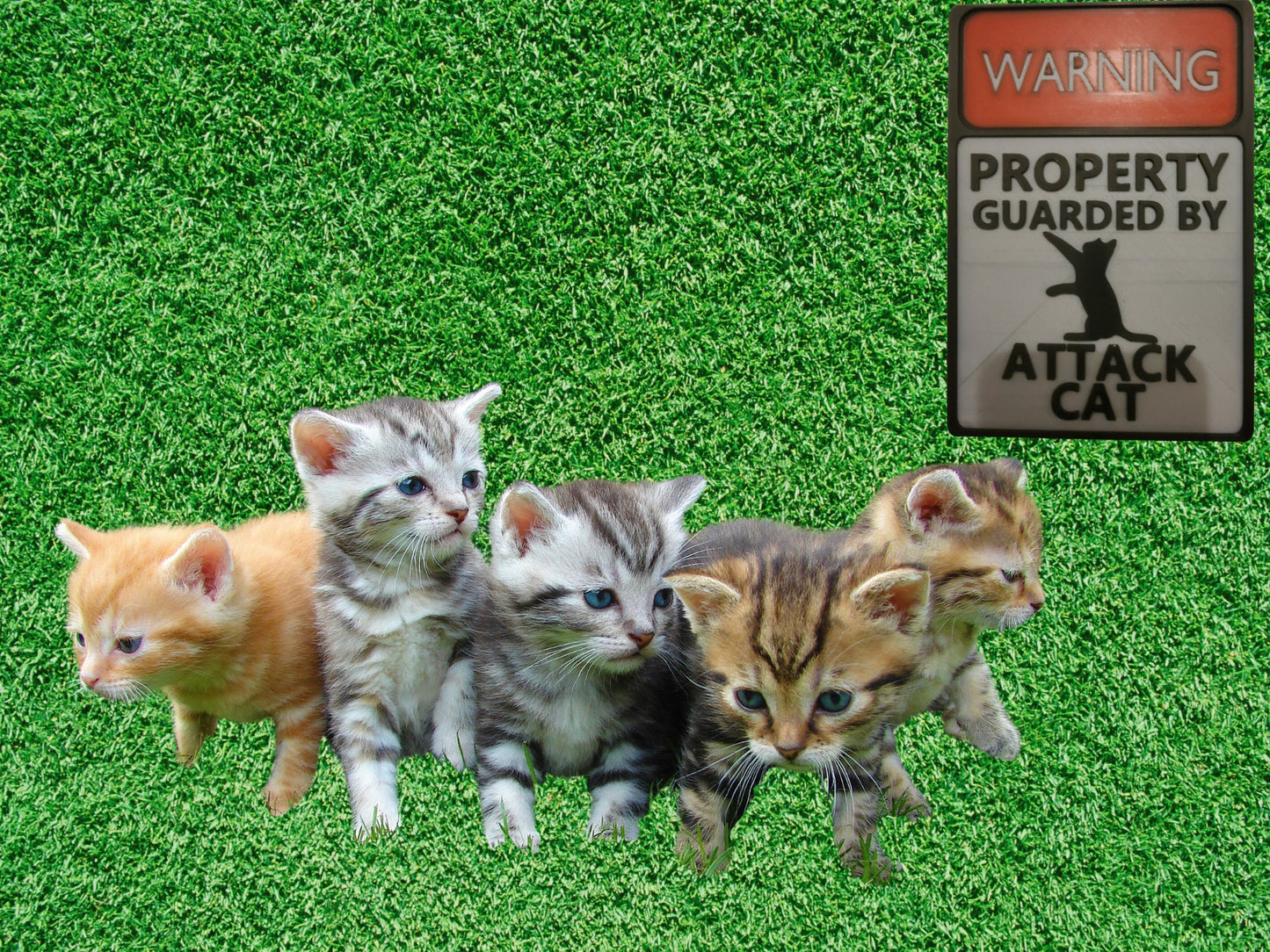 3d Printed Warning sign- Attack Cat-Funny
