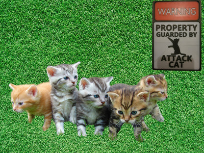 3d Printed Warning sign- Attack Cat-Funny