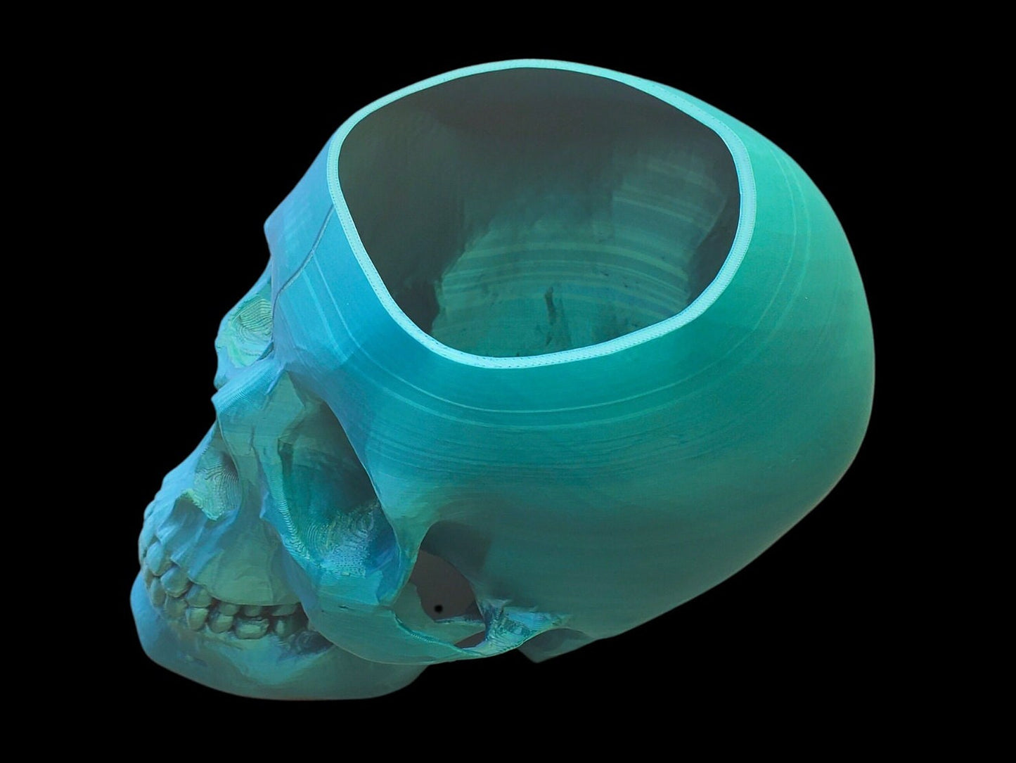 Skull Planter-3D Printed-Human Skull Replica-Skull Pot-Spooky Planter-Skull 3D Printed Plant Pot-Office Planter-Indoor Plant Pot-Goth Décor