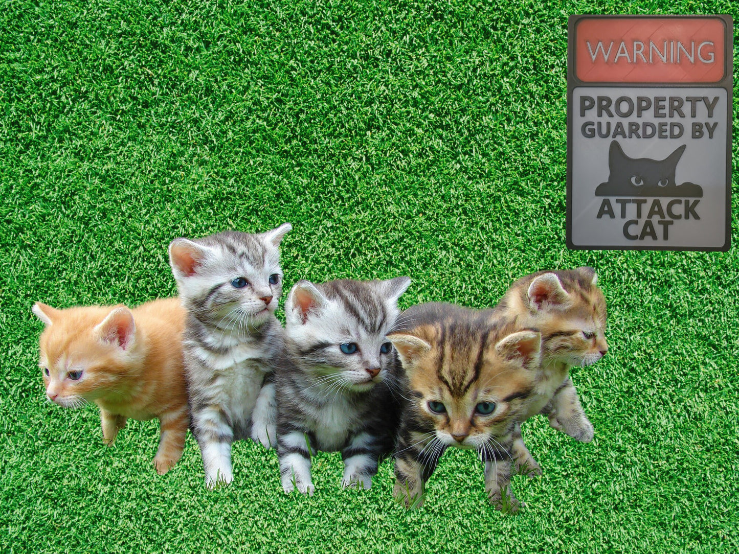3d Printed Warning sign- Attack Cat-Funny