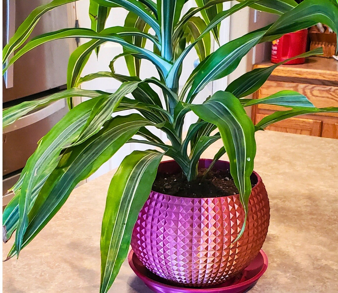 Indoor Diamond Geometric Planter Pot with Drainage 3D Printed