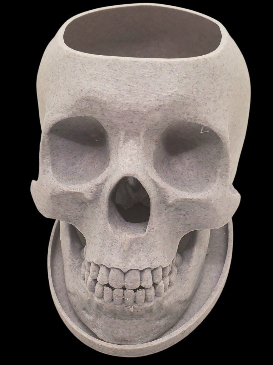 Skull Planter-3D Printed-Human Skull Replica-Skull Pot-Spooky Planter-Skull 3D Printed Plant Pot-Office Planter-Indoor Plant Pot-Goth Décor