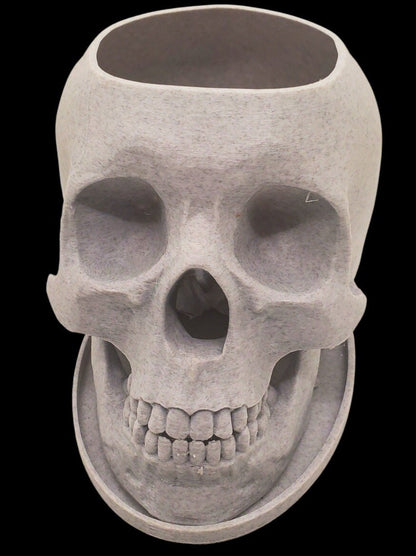 Skull Planter-3D Printed-Human Skull Replica-Skull Pot-Spooky Planter-Skull 3D Printed Plant Pot-Office Planter-Indoor Plant Pot-Goth Décor