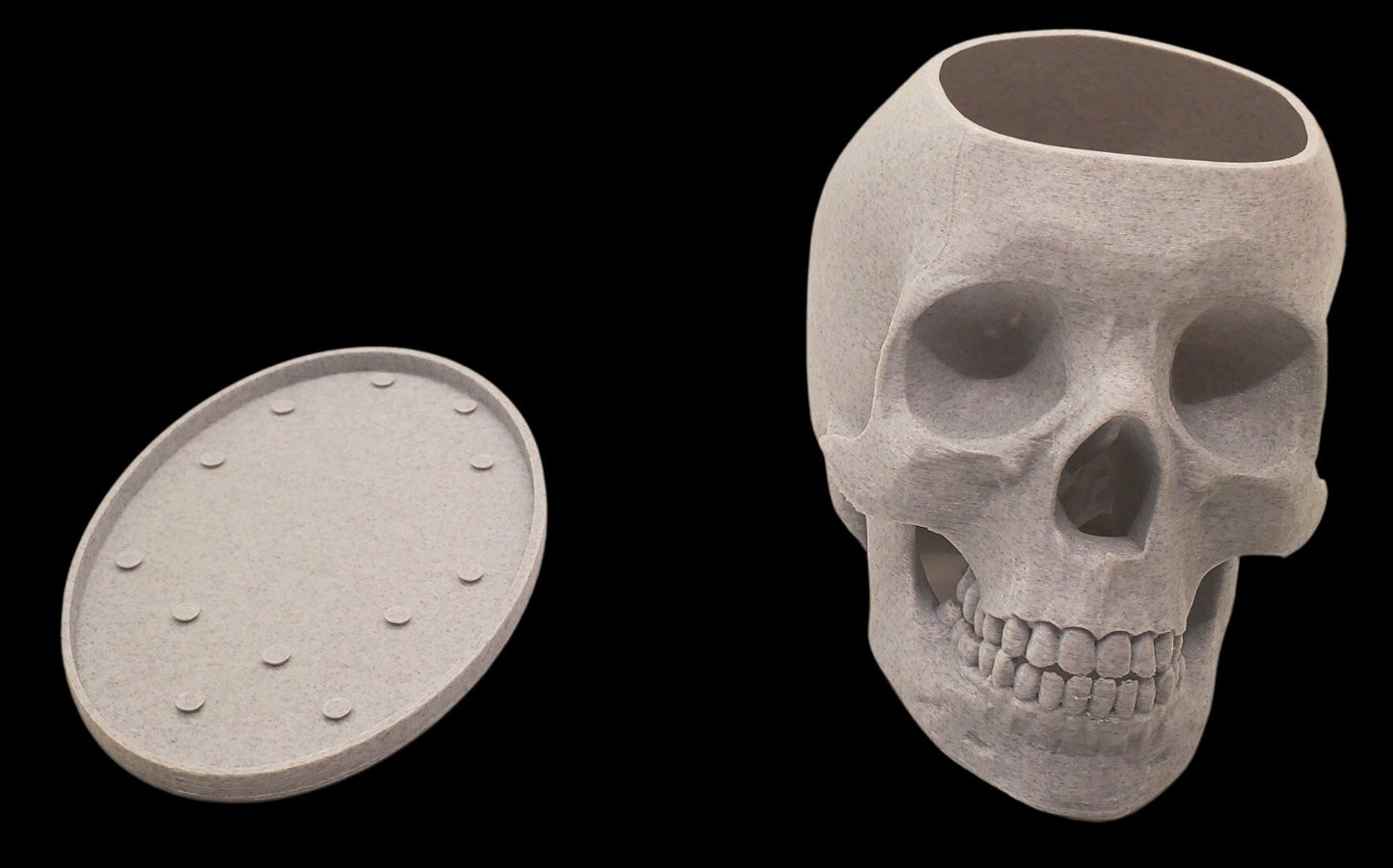 Skull Planter-3D Printed-Human Skull Replica-Skull Pot-Spooky Planter-Skull 3D Printed Plant Pot-Office Planter-Indoor Plant Pot-Goth Décor