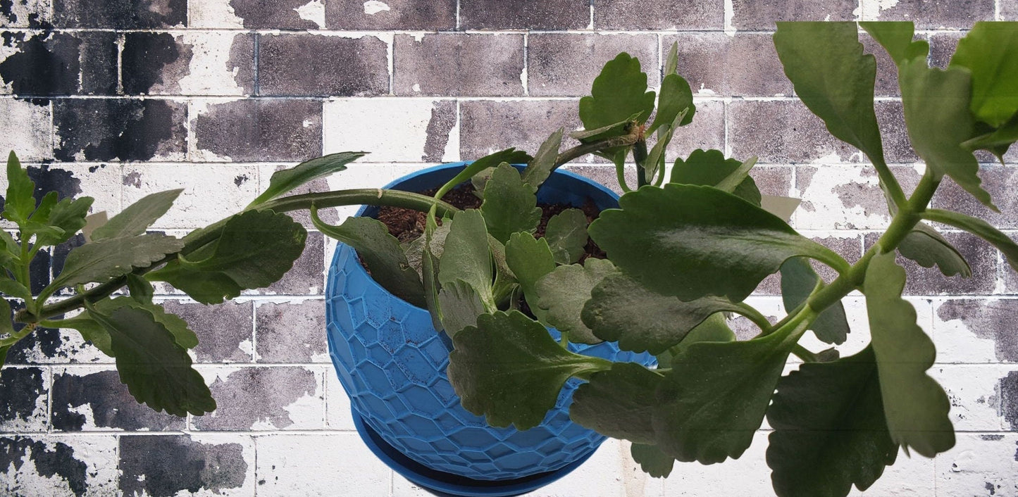 Indoor Planter Pot with Drainage- Innovative Web 3D Printed  for Flower and Succulents, Home and Office Décor