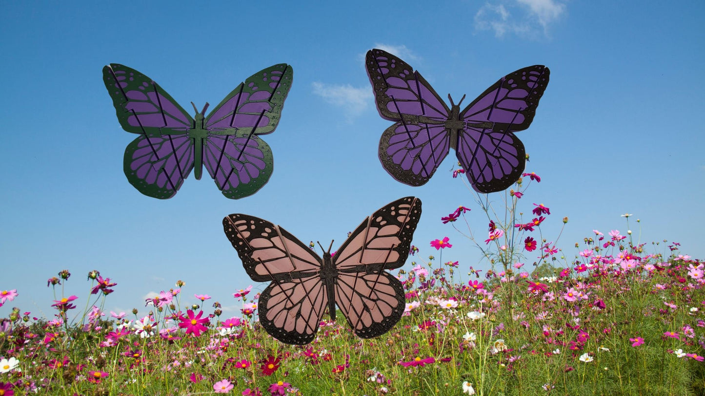 3D Printed multi color Articulating Butterfly, Fidget, Gift, Perfect gift for everyone. Combo packs available