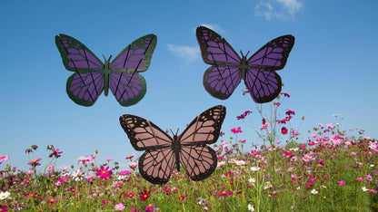 3D Printed multi color Articulating Butterfly, Fidget, Gift, Perfect gift for everyone. Combo packs available