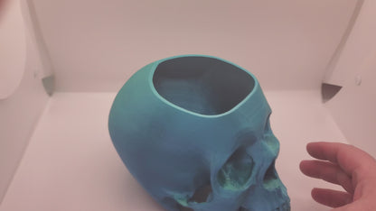 Skull Flower pot-3D Printed
