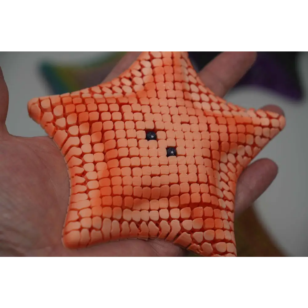 Sea Star Stress Relief Toy 3D Printed