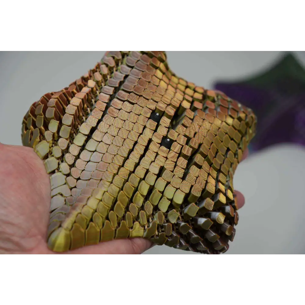 Sea Star Stress Relief Toy 3D Printed