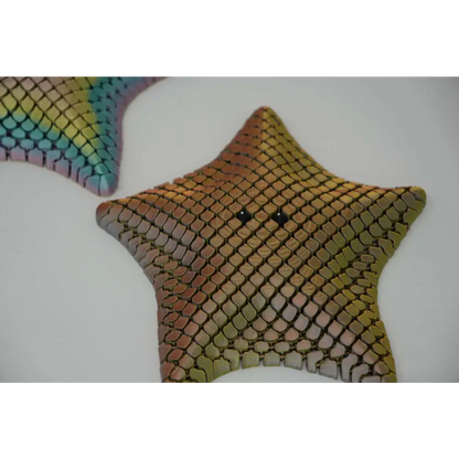 Sea Star Stress Relief Toy 3D Printed